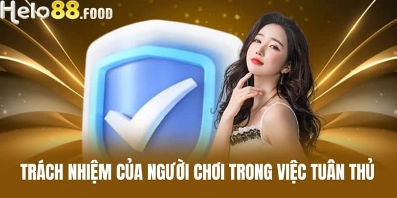 Trách nhiệm của người chơi trong việc tuân thủ