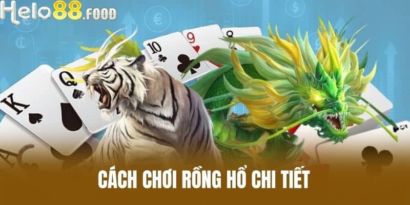 Cách chơi Rồng Hổ chi tiết