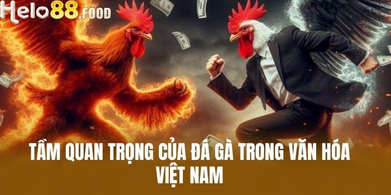 Tầm Quan Trọng Của Đá Gà Trong Văn Hóa Việt Nam