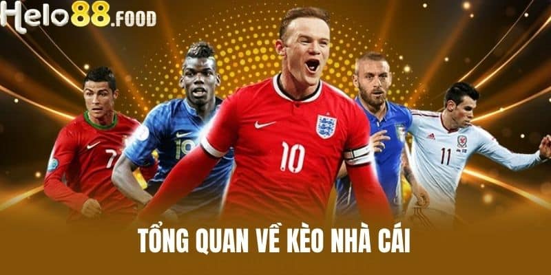 Tổng Quan Về Kèo Nhà Cái