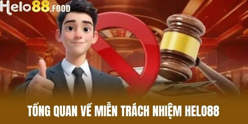 Tổng quan về miễn trách nhiệm HELO88