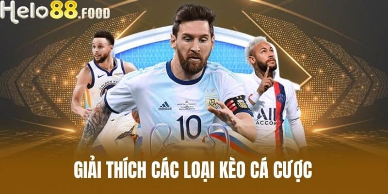 Giải Thích Các Loại Kèo Cá Cược