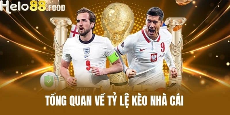 Tổng Quan Về Tỷ Lệ Kèo Nhà Cái