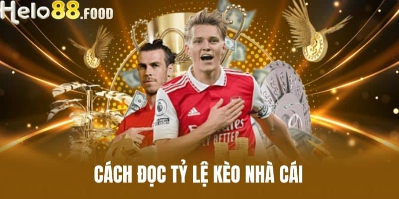 Cách Đọc Tỷ Lệ Kèo Nhà Cái